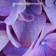 Illustration for article titled Share Your Phone or Desktop Wallpapers
